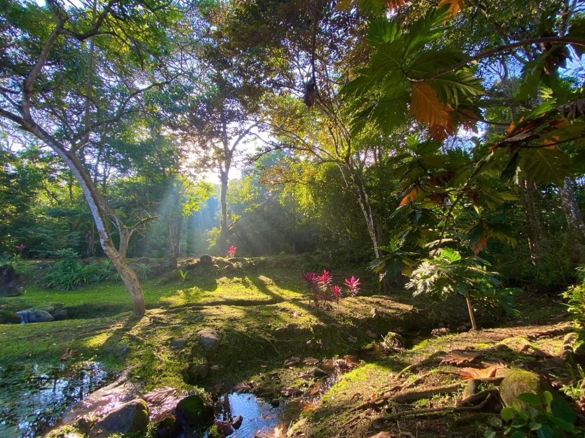 Buena Onda Jungle Lodge Ojochal Eksteriør bilde