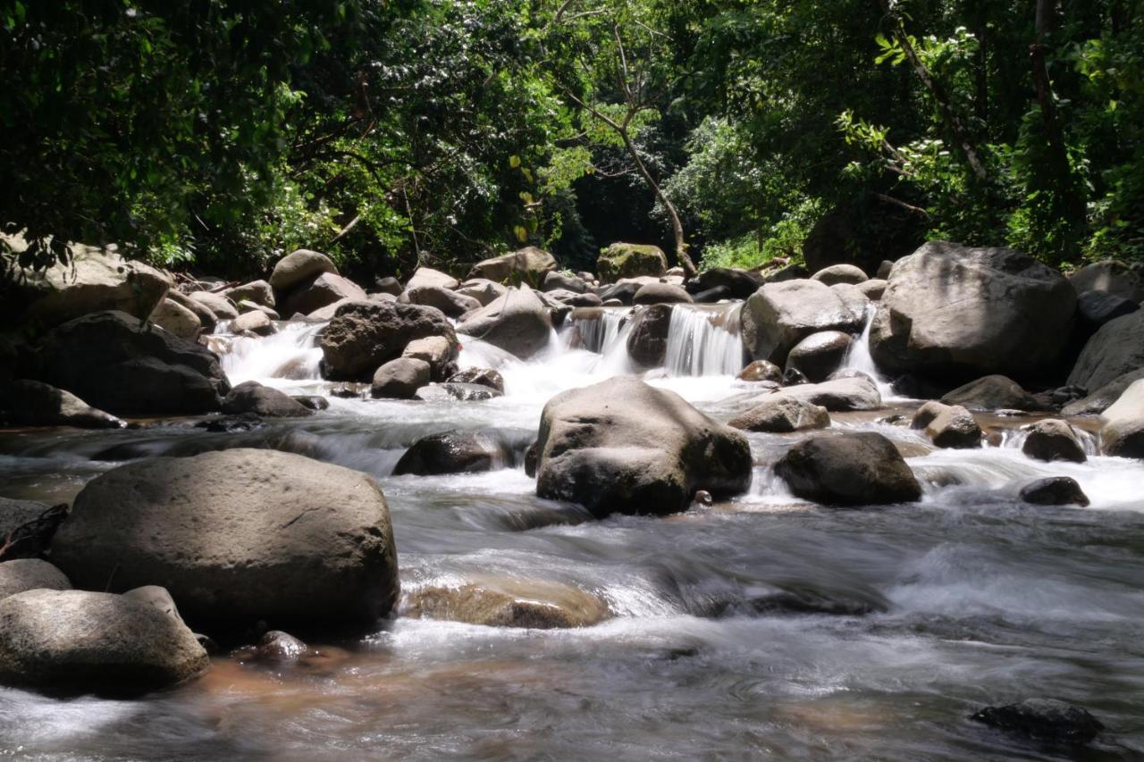 Buena Onda Jungle Lodge Ojochal Eksteriør bilde