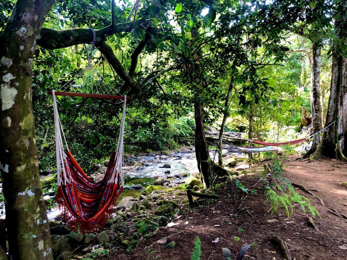 Buena Onda Jungle Lodge Ojochal Eksteriør bilde